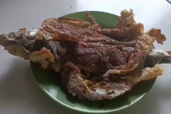 Unik Martabak Ikan Bandeng Khas Aceh Mulai Diburu Penikmat Kuliner