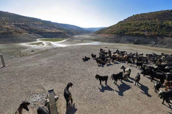 Waduk Al-Duwaysat di Idlib Suriah Mengering, Pertama Kali Sejak Dibangun Tahun 1994
