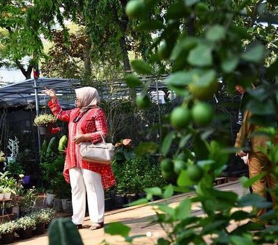 3 Potret Fery Farhati Istri Anies yang Hobi Bercocok Tanam