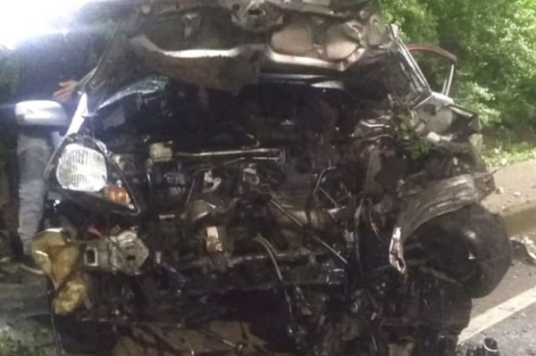 Mobil Jazz Ringsek Usai Tabrak Pohon, Sopir Pingsan