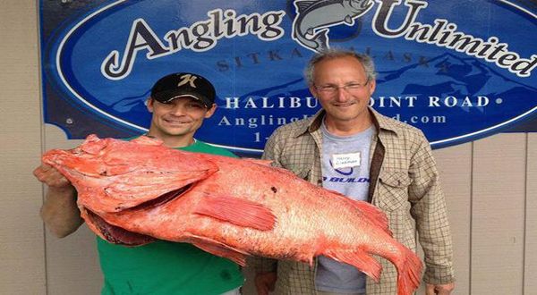 Peneliti Temukan Rahasia Panjang Umur dalam DNA Ikan Rockfish