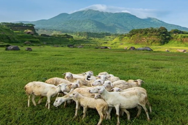 5 Destinasi Wisata Indonesia yang Mirip di Luar Negeri, Nomor 4 Berasa di Hawaii