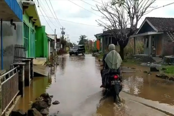 Sepekan Diterjang Banjir Rob, Ratusan Rumah di Kendal Tergenang Air hingga 50 Cm