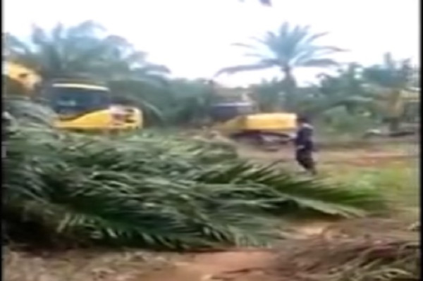 Sengketa Lahan Memanas 1 Tewas 6 Motor Dibakar di Padang Lawas