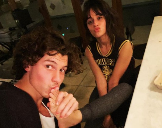 Shawn Mendes dan Camila Cabello Putus, Ini 6 Potret Mesra saat Masih Pacaran