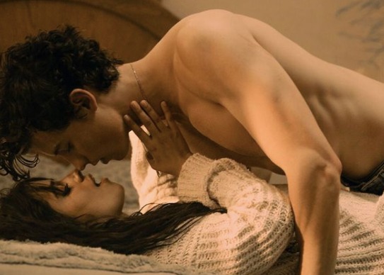 Shawn Mendes dan Camila Cabello Putus, Ini 6 Potret Mesra saat Masih Pacaran