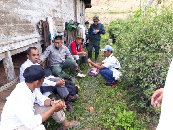 Harimau, Beruang hingga Binturong Berkeliaran, Warga Nagari di Sumbar Diimbau Berhati-hati