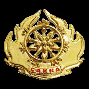 12 Brevet, Wing, dan Badge Hiasi Seragam Jenderal Andika, Ini Penjelasannya