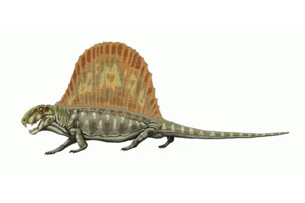 9 Penghuni Bumi Sebelum Dinosaurus yang Jarang Diketahui