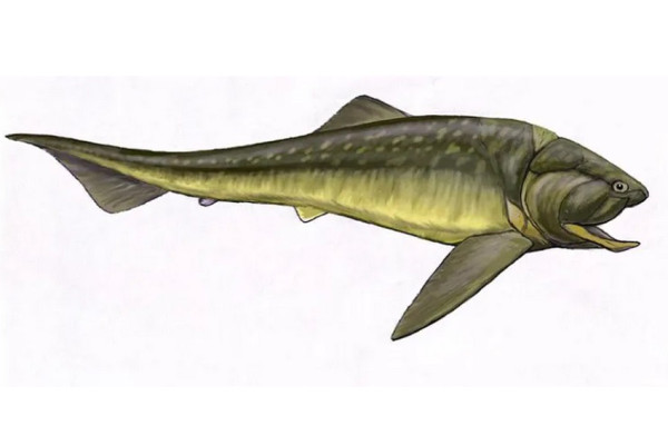9 Penghuni Bumi Sebelum Dinosaurus yang Jarang Diketahui