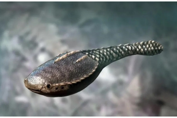 9 Penghuni Bumi Sebelum Dinosaurus yang Jarang Diketahui