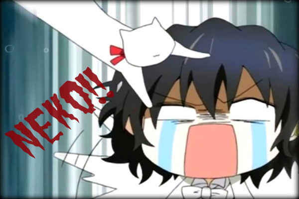 10 Jagoan Anime yang Hanya Mempunyai Satu Kelemahan