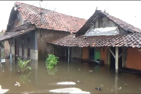 Diguyur Hujan berjam-jam, Ribuan Rumah di Pekalongan Terendam Banjir