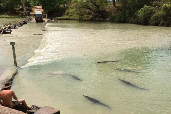 5 Sungai dengan Buaya Terbanyak dan Paling Berbahaya di Dunia