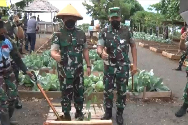 KSAD Panen Sayur dan Buah di Kodam Kasuari Papua Barat