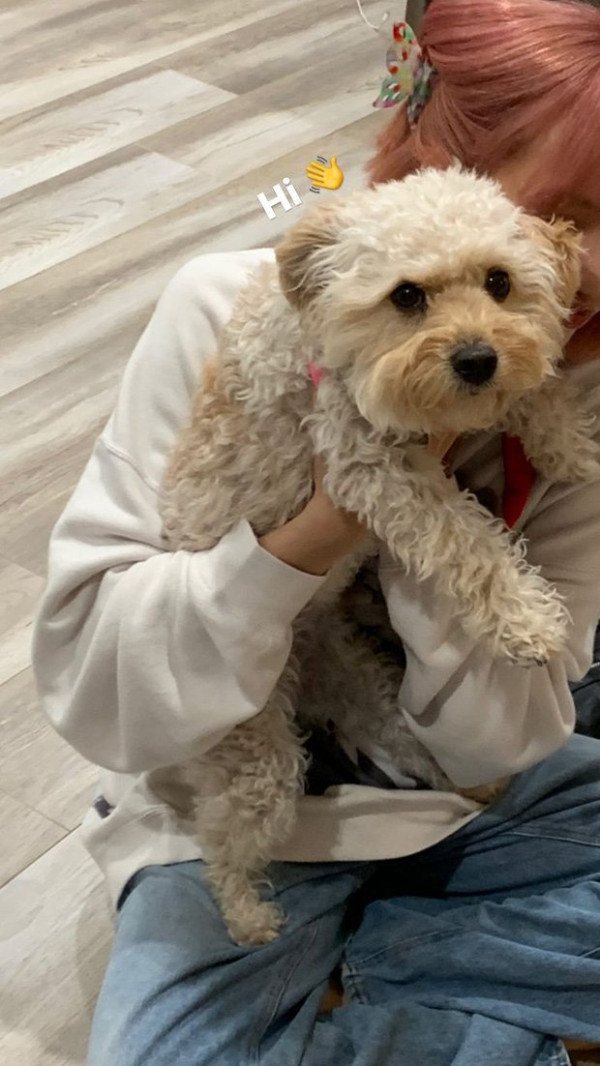 Aktivitas Lisa BLACKPINK di Amerika sebelum Positif COVID-19