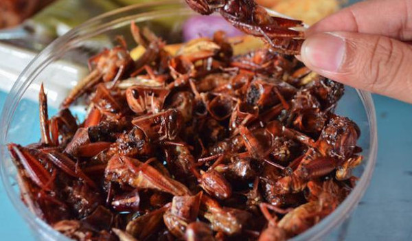 7 Rekomendasi Kuliner Jogjakarta Selain Gudeg, Wajib Coba!