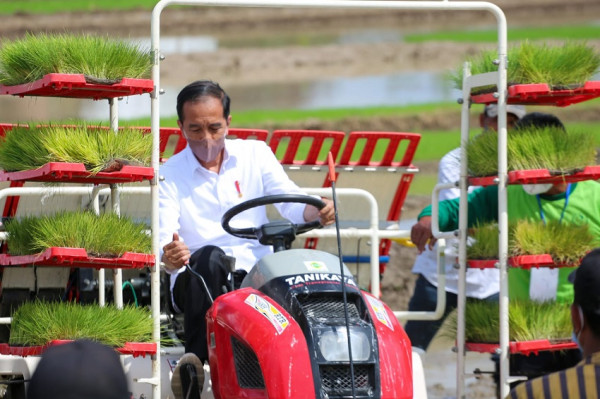 Tanam Padi di Trenggalek, Presiden Jokowi Tegaskan Produksi dalam Kondisi Optimal