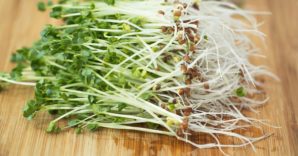 Diabetes, 5 Sayur Penurun Gula Darah Tinggi yang Ampuh