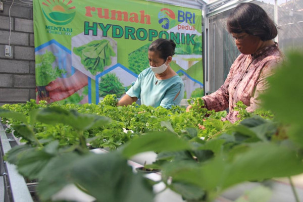 Hobi Jadi Ladang Rezeki, Ibu-ibu Ini Buat Jamu Empon-Empon hingga Peyek Bayam