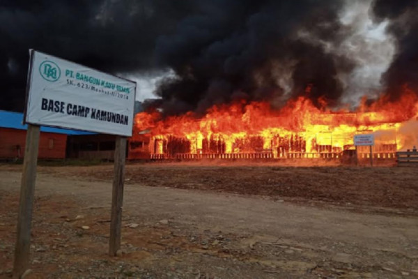 Brutal, KKB Serang dan Bakar Perusahaan Kayu di Maybrat Papua Barat