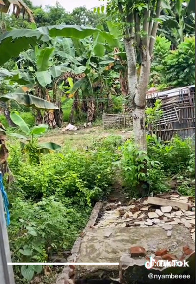 Viral! Gambaran WC Estetis yang Menyatu dengan Alam
