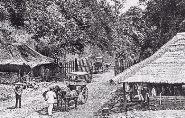 Asal Mula Puncak, Tempat Wisata Favorit Pelancong sejak Zaman Kolonial