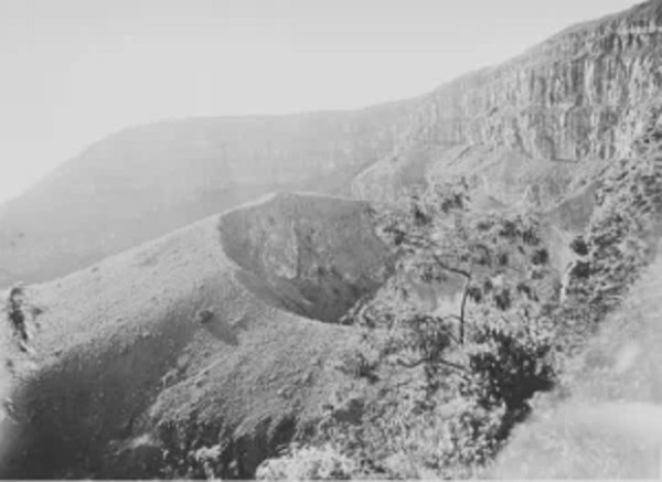 Asal Mula Puncak, Tempat Wisata Favorit Pelancong sejak Zaman Kolonial