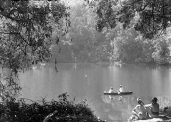 Asal Mula Puncak, Tempat Wisata Favorit Pelancong sejak Zaman Kolonial