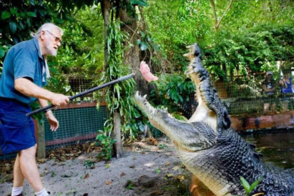10 Buaya Terbesar di Dunia yang Pernah Tercatat Resmi