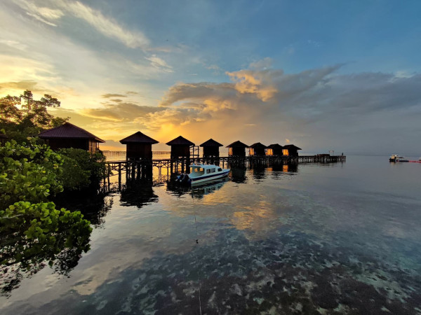 Begini Hasil Foto Triple Camera 108 MP Milik Xiaomi 11T Pro