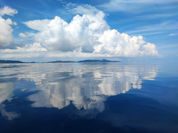 Begini Hasil Foto Triple Camera 108 MP Milik Xiaomi 11T Pro