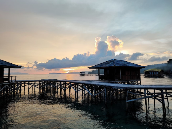 Begini Hasil Foto Triple Camera 108 MP Milik Xiaomi 11T Pro