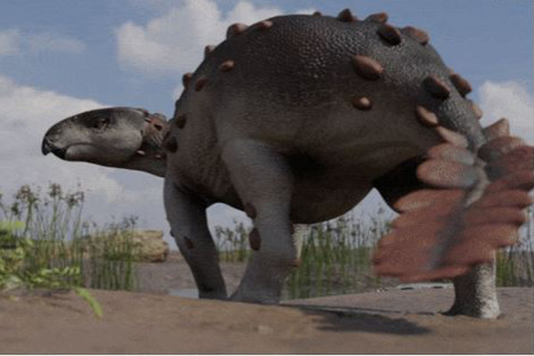 10 Penemuan Dinosaurus Luar Biasa Selama Tahun 2021, Nomor 7 Bergigi Seperti Hiu