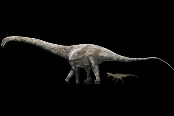 10 Penemuan Dinosaurus Luar Biasa Selama Tahun 2021, Nomor 7 Bergigi Seperti Hiu