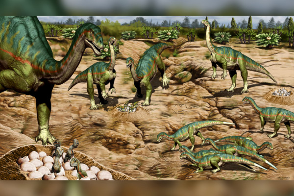 10 Penemuan Dinosaurus Luar Biasa Selama Tahun 2021, Nomor 7 Bergigi Seperti Hiu