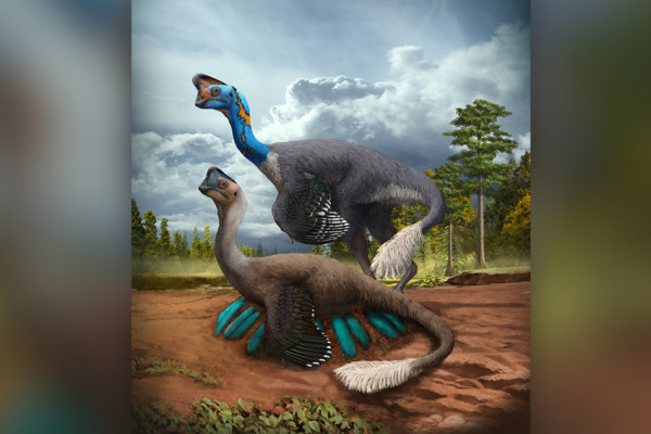 10 Penemuan Dinosaurus Luar Biasa Selama Tahun 2021, Nomor 7 Bergigi Seperti Hiu