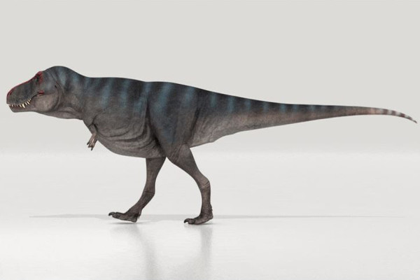 10 Penemuan Dinosaurus Luar Biasa Selama Tahun 2021, Nomor 7 Bergigi Seperti Hiu