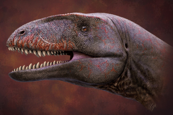 10 Penemuan Dinosaurus Luar Biasa Selama Tahun 2021, Nomor 7 Bergigi Seperti Hiu