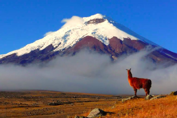 Ini Gawat, Status Gunung Everest Sebagai yang Tertinggi di Dunia Diragukan