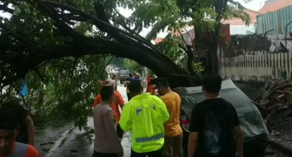 Pohon Tumbang Timpa Sekolah dan Mobil, Pos Nataru Porak-poranda