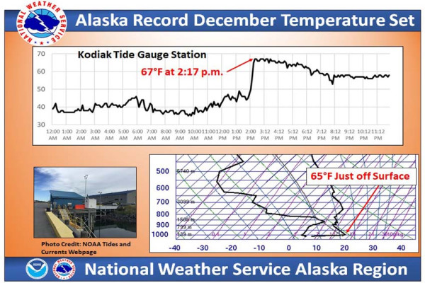 Rekor Tertinggi, Suhu di Alaska Tembus 19 Derajat Celcius