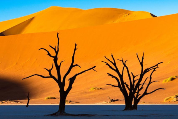6 Lokasi di Bumi yang Paling Mirip Mars, Nomor 3 Sering Dikunjungi Turis