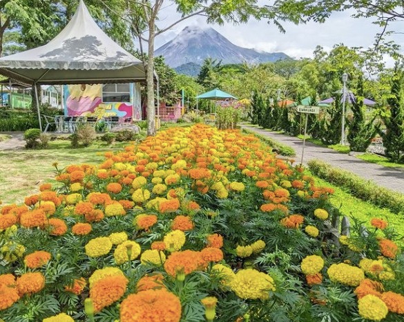 5 Destinasi Wisata Instagramable di Jogja, Nomor Terakhir Indah Banget Spot Fotonya