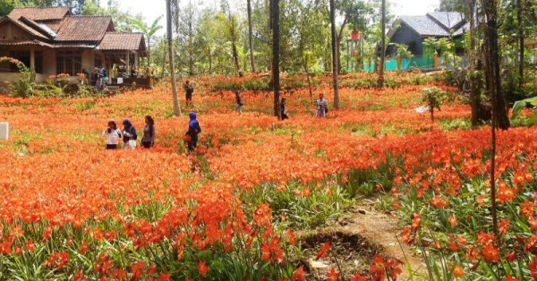 4 Tempat Wisata Ini Rusak Akibat Dipadati Pengunjung Usai Viral di Media Sosial