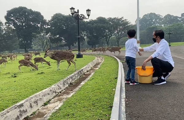 Momen Seru Jokowi Momong Jan Ethes: Main Tebakan Nama Presiden