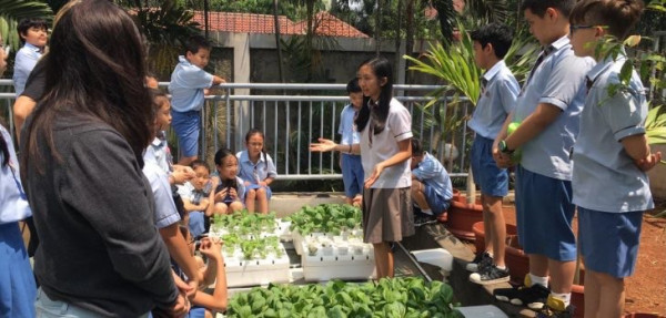 Alumnus Binus Kembangkan Sistem Tanam Sayur Sederhana sebagai Kontribusi bagi Lingkungan dan Bangsa