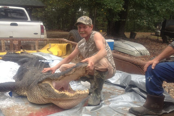 6 Aligator Terbesar di Dunia yang Pernah Ditangkap, Ada yang Panjangnya 5 Meter