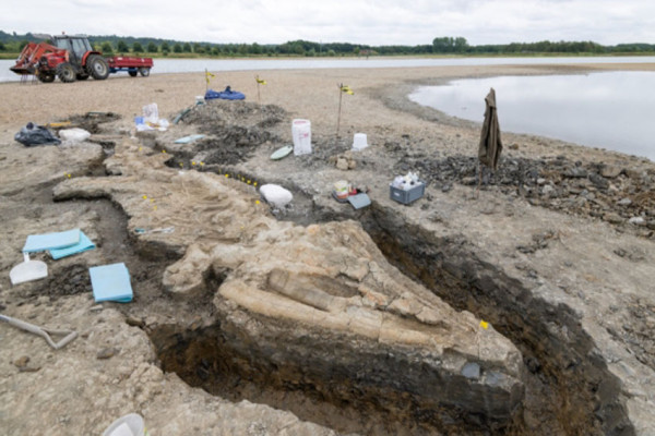 Fosil Naga Laut Terlengkap dan Terbesar Ditemukan di Waduk Rutland Inggris