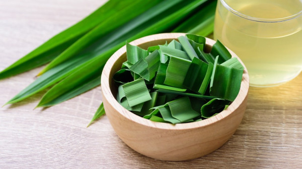 6 Obat Kolesterol Paling Ampuh, Nomor 2 Harganya Murah
